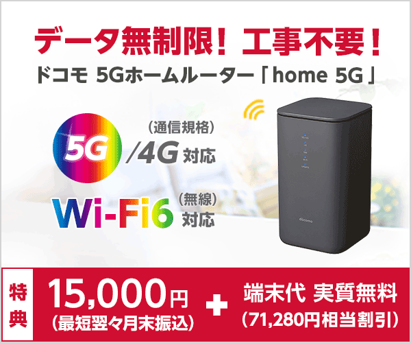 【新品未使用】docomo home5G(HR02) ダークグレー　ルーターダークグレー